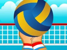 Volleyball Sport Game